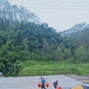 ���q�������܃r߀Ҫ���Զ����|��������ؼs