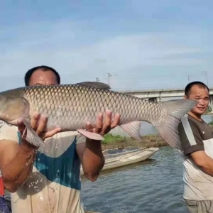 �����j��33�fԪ/�������~�r����m(x��)��ů