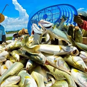 ���|���q���vʷ��߃r(ji��)���V�|���~�u��11.3Ԫ/�