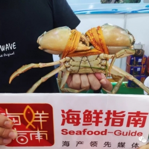 ȫ����з��Č��Ҽ���I���R�ۡ��Ї���з֮�l�����T�h�����\�Ї���з�lչδ��