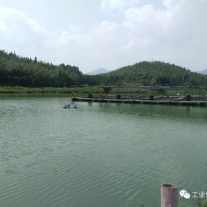 ������Ȃ��y�����~Č��ξ��棿�ܵ��Bֳ��һ�l�ƾ�֮·��