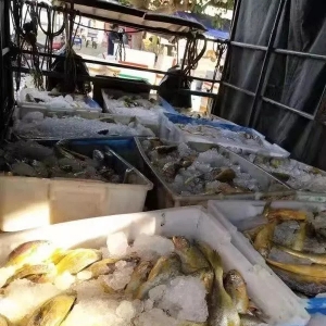 ���S�~СҎ���c��Ҏ�񱩵������~�r�񱣳ַ���