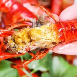 С���r�ӽ�β�����������������ն�؃r���ϝq��