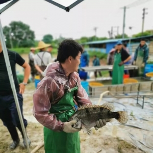 ���m�µ���9��30�ո��ع��~���^��r