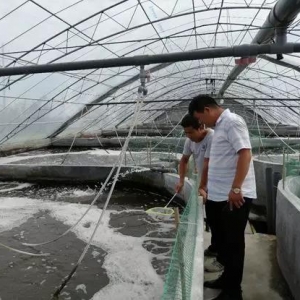 7���˶�ٍ�X�����S���B(y��ng)�rԭ�������@����