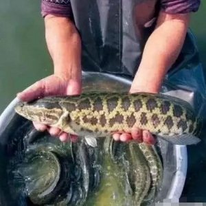 ���~�Bֳ�˶���100000Ԫ��ӆ�����~��