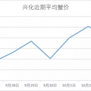 ��зȫ���µ�������20Ԫ/�