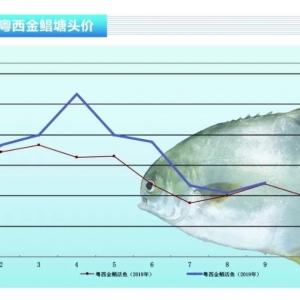 ���K�~������u��14.4Ԫ/��,�Ј�(ch��ng)ӭ����������顪����ˮ�a(ch��n)ǰ�ء�2019��10�¿��Ј�(ch��ng)څ��(sh��)