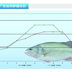 �����|�����~���r�����~�oȱ������ˮ�aǰ�ء�2019��10�¿��Ј�څ��