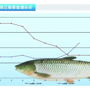 ���~�������p�ٝq�����ޡ�����ˮ�aǰ�ء�2019��10�¿��Ј�څ��