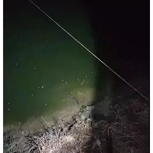 �~�����켱�\�����U(xi��n)Щ���f���~�͛]��