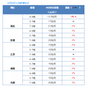 ���^�rȫ���q1Ԫ/�10��8��С���r���飡