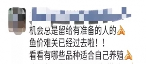 ������~�q�ˣ���ߝq0.5Ԫ���y��ֱ��5.5Ԫ/����