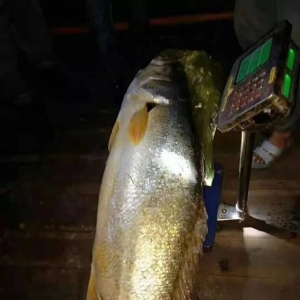 128���~�u��310�f���ǳ����᣿��rҰ���~�l�F�����������ڡ��ٿء���