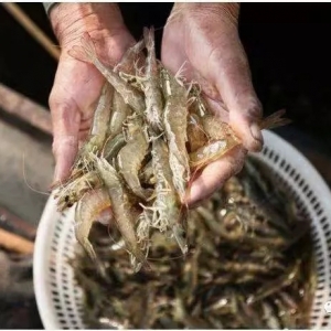 10��9�Շ��Ȱ��r���a�^�r�񲥈��c�������