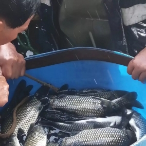 �i�r���q�����K���a�~���^�rҲ�q��10Ԫ/��