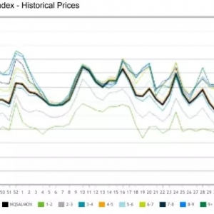 �_�q�������~�^�B�m(x��)2���µ̓r���|�׷�����