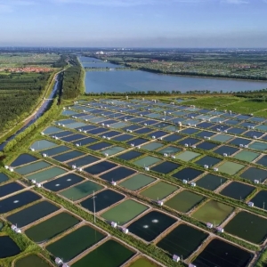 С��(du��)�r����a(ch��n)�I(y��)�����(m��ng)��