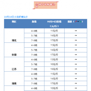 ���^�r������10��14��С���r���^�r�����飡