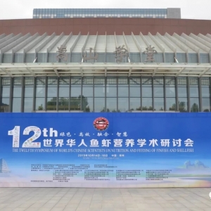 �߹⣡��ʮ�������A����ʽ���_�Ļ��