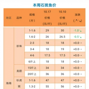 ��������ʯ���~�r�����^�m�»���