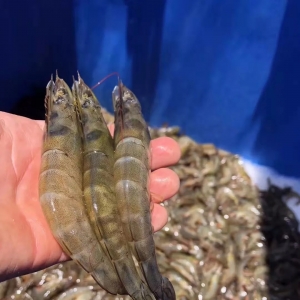 Danny����϶ࠖ��ȫ����r���Ҳ��ӣ����_�������تq��