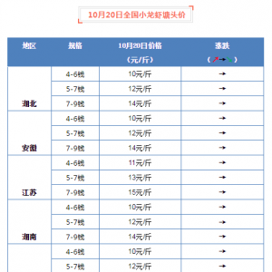 ���w����څ�ڷ�(w��n)����10��20��С���r���^�r���飡