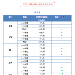 �������G�ݴ��r���l�r�������@�»���10��20��С���r���l�Ј����飡