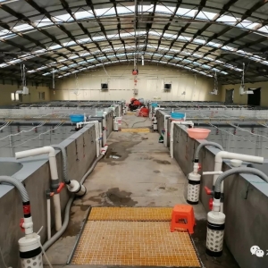 �����r���Ј�(ch��ng)�{(di��o)�У��r�r(n��ng)���������r�磡