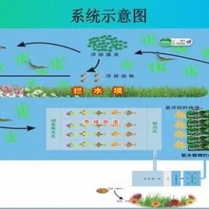 �ܵ��~��������ѭ�h�Bֳϵ�y�Bֳ���g����