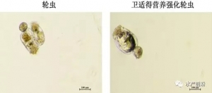 ���׌���r�A�����ڣ������������������Ч������