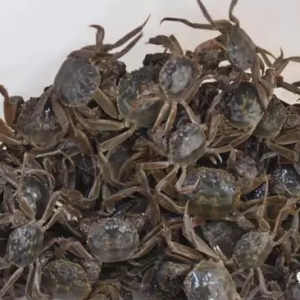 ��з������ԣ����ԓ��ô�B