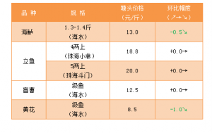 ���|���S���~�r���R��