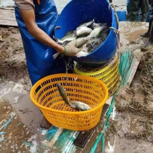 һ�Ŀ���2019��ˮ�a���L�P�I�c