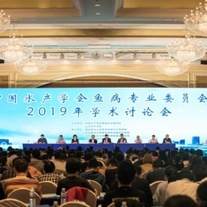 �������l(f��)��(f��)�s��׃����Ҫ�D(zhu��n)׃����ƌW(xu��)�B(y��ng)ֳ