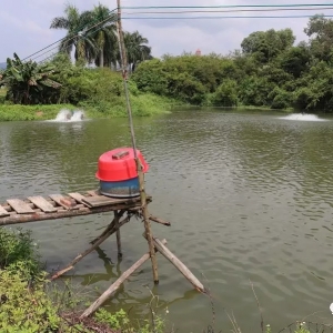 ���B�����|������ٍ4�f�����к����E��