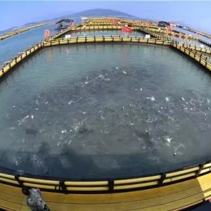 ���S�~�B��7�ܣ�ÿ��ֵֻ13Ԫ���B���������æ���ˡ���