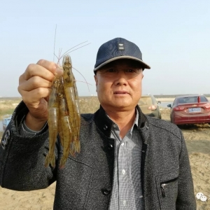 �p��ٍ��80�f���㽭��܊�������D(zhu��n)���̙C(j��)