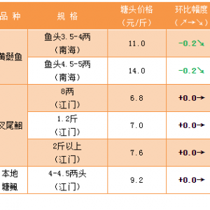 11��1���S��~�����r������