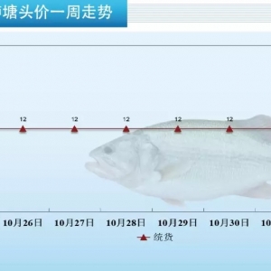 ���m(x��)�»����2Ԫ/���������|һ������