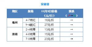 11��3��С���r����