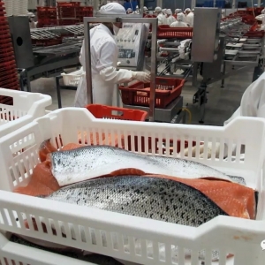 ���m�}�y�����������~�����������½�