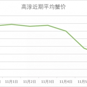 �ߴ���з����Сз�q��11��6���d�����ߴ������顢���ǡ��o�a���Ϻ���з�r��