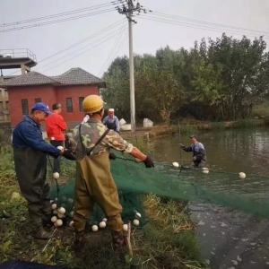 ��߰��a47������|�~���ل��ѿ�