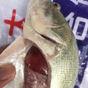 ���~�o�Σ�ͬ�ȸ�1.5Ԫ/������ͨ���������~���������|���^��r