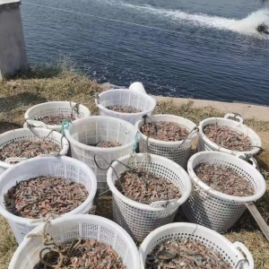 �K��տ���F�@�쌦�rͶ�������B��ʹʧ100���f