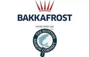 ���_Ⱥ�u�����~���a��Bakkafrost��ُ�K���m�����~��ISSC���й�Ʊ