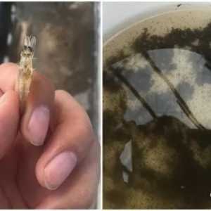 ȫ�r�l(f��)����ϵ����к�����֮̎