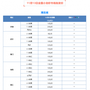 ���w���ַ��������������Ͼֲ���С���{����11��13��С���r���l�Ј�����