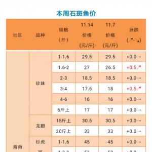 �|�ǰ��ϝq5Ԫ/�11��14��ʯ���~�r�񲥈�